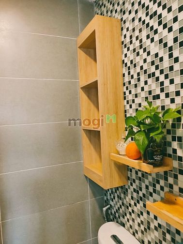 Hình ảnh Cho thuê Trang Chủ MB66.COM / Đăng Ký Tặng 66K 2 phòng ngủ 1 phòng khách