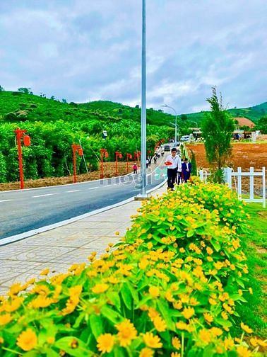 Hình ảnh 💥💥💥 Sở hữu khu đất nền nghỉ dưỡng #FLORA BẢO LỘC - ĐẲNG CẤP QUỐC TẾ
