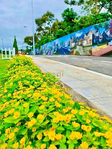 Hình ảnh 💥💥💥 Sở hữu khu đất nền nghỉ dưỡng #FLORA BẢO LỘC - ĐẲNG CẤP QUỐC TẾ