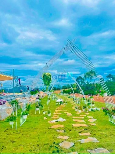 Hình ảnh 💥💥💥 Sở hữu khu đất nền nghỉ dưỡng #FLORA BẢO LỘC - ĐẲNG CẤP QUỐC TẾ