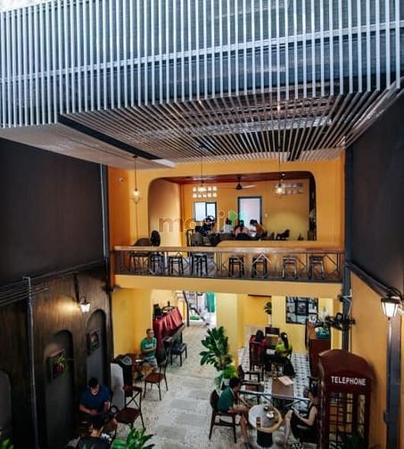 Hình ảnh Cho thuê MT Quách Văn Tuấn, Tân Bình. DT 6*25 sân vườn