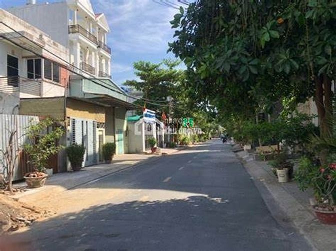 Hình ảnh Đát thổ cư - MT Đinh Quang Ân - 100m2 - 1,75 tỷ - SHR