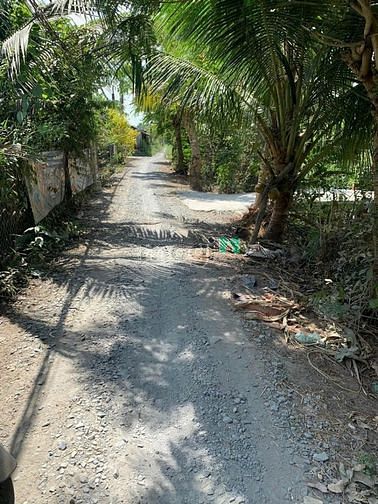 Hình ảnh Bán đất nền bình Quới châu thành long an