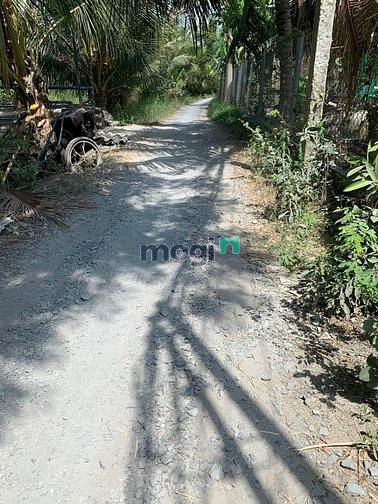 Hình ảnh Bán đất nền bình Quới châu thành long an