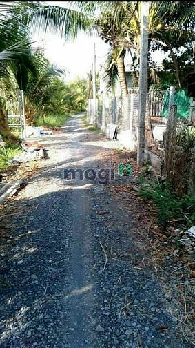 Hình ảnh Bán đất nền bình Quới châu thành long an