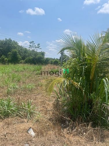 Hình ảnh BÁN ĐẤT ĐƯỜNG TÂN THÀNH 64, Bắc Tân Uyên, Bình Dương