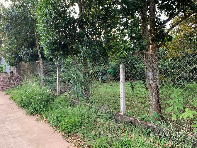 Hình ảnh Còn lô vườn ra nhanh giá 400 triệu Đồng Phú, Bình Phước