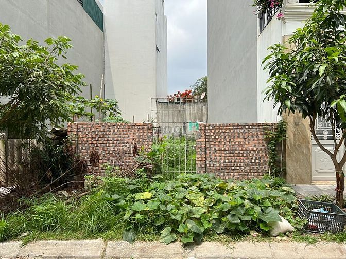 Hình ảnh Cần tiền xây nhà gia đình bán khẩn cấp 50m2 đất thổ cư mặt đường