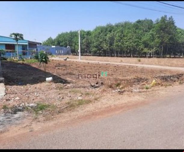 Hình ảnh Đất TC đường HL12, Long Phước - Long Thành, 100m2 - 1,8 tỷ  - SHR