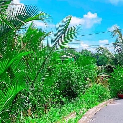 Hình ảnh Bán lô A11 KDC Qui Đức Bình Chánh