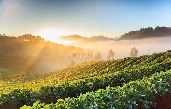 Hình ảnh Siêu phẩm đất vườn 3000m2 view Đảo Ó- tặng thiết kế nhà sàn nghỉ