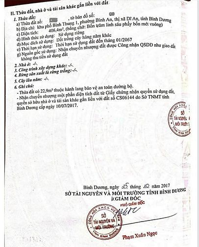 Hình ảnh Bán Đất Xây Biệt Thự Sân Vườn Giá Chỉ 12.3 Tr/m2 Phường Bình An, Dĩ An