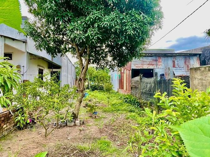 Hình ảnh Siêu rẻ chỉ 475 triệu có ngay 99m2 đất Gò Dầu, full thổ cư sổ sẵn