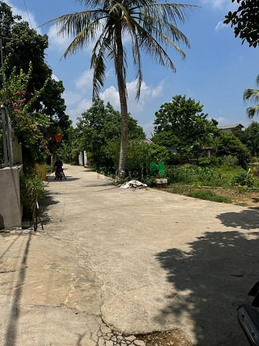 Hình ảnh Hạ giá cần bán nhanh lô đất dt 1299m giá 11,5 triệu.
