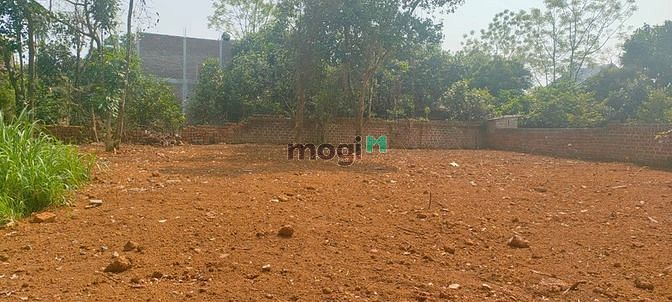 Hình ảnh Hạ giá cần bán nhanh lô đất dt 1299m giá 11,5 triệu.