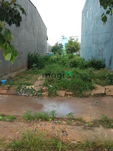 Hình ảnh Đất MT, gần KCN Biên Hòa, An Bình - Biên Hòa, 100m2 - 2,2 tỷ , SHR