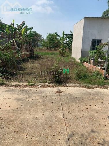 Hình ảnh Đất TC đường Lý Thái Tổ, Phú Hội - Nhơn Trạch, 100m2 - 800 triệu, SHR