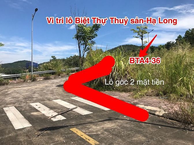 Hình ảnh Bán đất biệt thự đồi thuỷ sản Hạ Long Quảng Ninh
