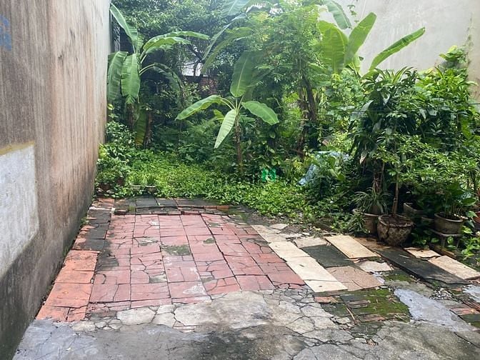 Hình ảnh Bán 49m đất Thạch Bàn, mặt tiền 4.7m nở hậu, 20m ra mặt đường Cổ Linh