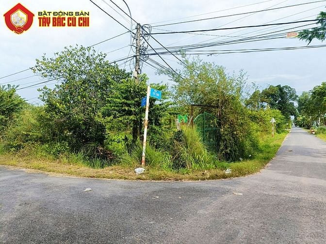 Hình ảnh Bán đất 2 mặt tiền đường 793 - 2595m2 - 44x57 - 52m2 thổ cư - xã an