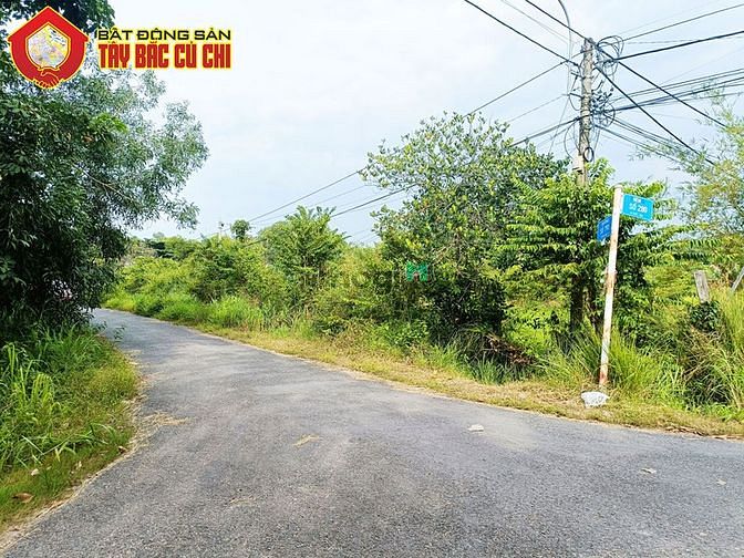 Hình ảnh Bán đất 2 mặt tiền đường 793 - 2595m2 - 44x57 - 52m2 thổ cư - xã an