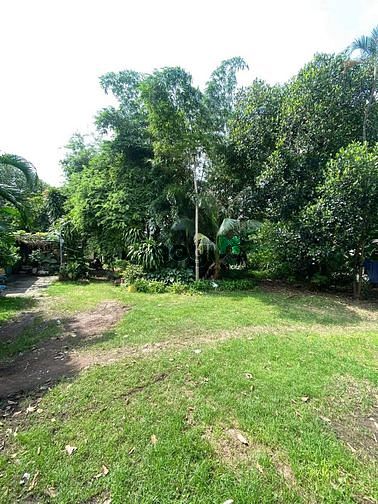 Hình ảnh Đất trống 1260m2 xe hơi tới ở trung tâm Bình Thạnh chỉ có 25.8 tỷ