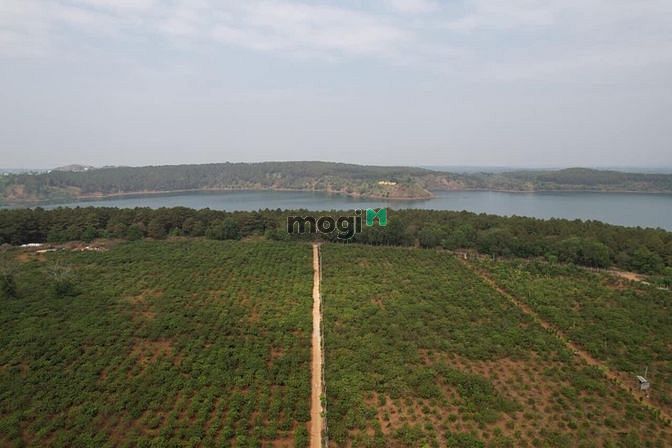 Hình ảnh Đất Khu Du Lịch Biển Hồ Pleiku Gia Lai - View Biển Hồ - Trung Tâm TP.