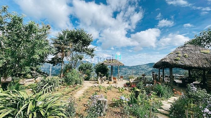 Hình ảnh Bán mảnh đất 396m2 Y Tý (Sapa 2), khu du lịch 4 mùa.