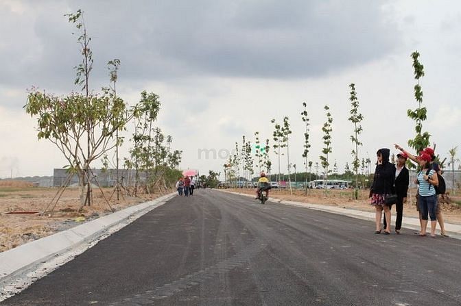 Hình ảnh Đất TC MT Trần Phú (Phước Thiền, Nhơn Trạch) - 100m2 - 800tr - SHR