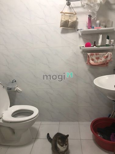 Hình ảnh Bán CHCC 789 Xuân Đỉnh 70m2 2PN 2VS 2.85 Tỷ Mới đẹp