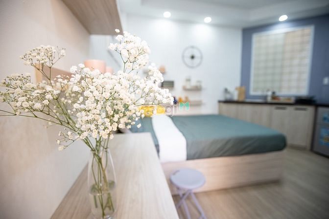 Hình ảnh Khai trương studio bancol decor xinh xắn Q3
