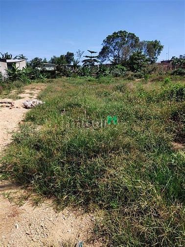 Hình ảnh Đất chính chủ - gần MT đường Chợ chiều - 100m2 - 1,1 tỷ - SHR