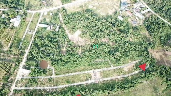 Hình ảnh Nền này dành cho người yêu thiên nhiên của phú quốc.