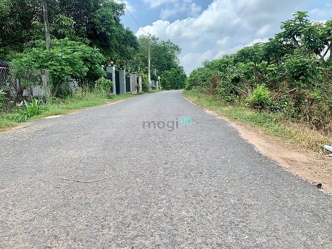 Hình ảnh Bán 1522m2 đất giá thu hồi vốn. Thổ cư.Gần KCN Phước Đông.SHR