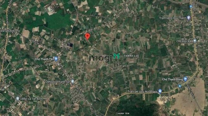 Hình ảnh Đất ngộp Tân Châu chủ cần bán gấp đã có sổ