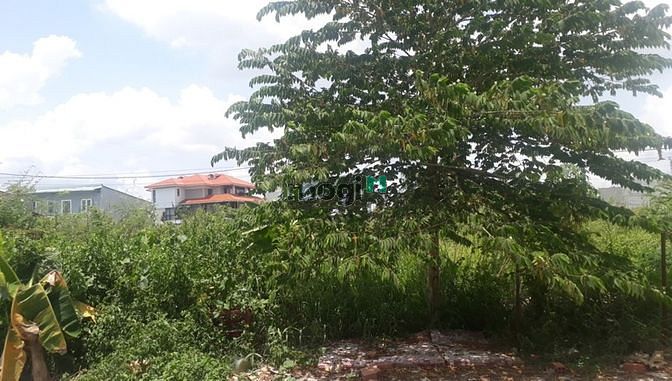 Hình ảnh bán đất đường Bưng Ông Thoàn - P Phú Hữu - Quận 9, giá chỉ năm tỷ!