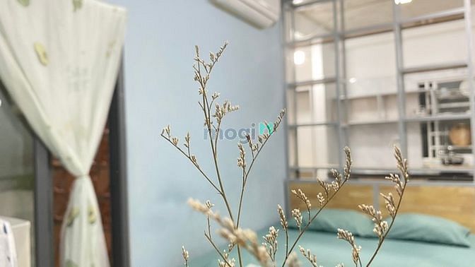 Hình ảnh Cho Thuê CHDV Full Nội Thất Kế Sân Bay Vào Ở Liền