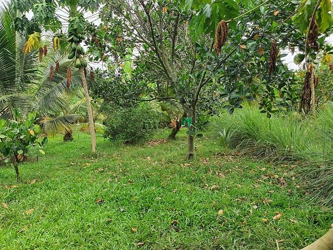 Hình ảnh Bán đất thổ cư 293m sổ riêng KCN Sông Mây vào 7km