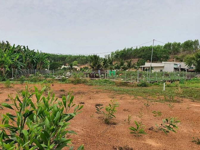 Hình ảnh Bán đất thổ cư 293m sổ riêng KCN Sông Mây vào 7km