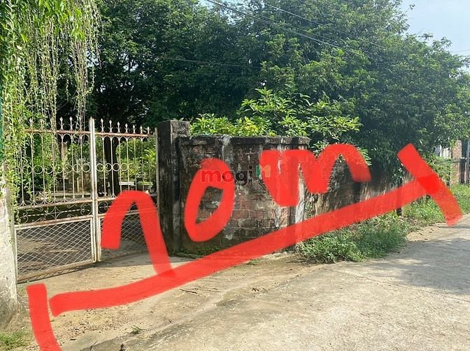 Hình ảnh cc bán 289,7m tại kim sơn tx sơn tây cách ubnd và chợ  kim sơn 500m