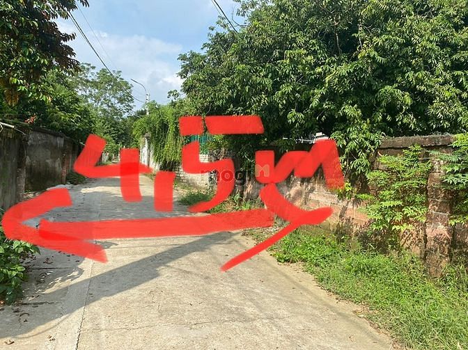 Hình ảnh cc bán 289,7m tại kim sơn tx sơn tây cách ubnd và chợ  kim sơn 500m