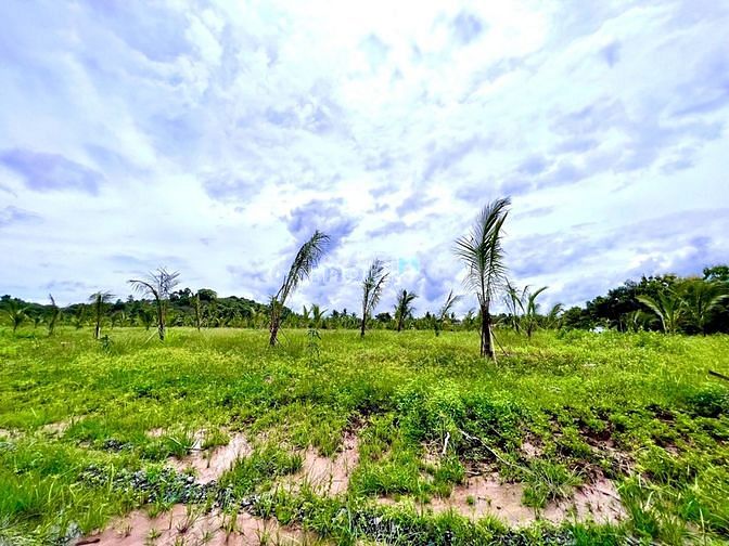 Hình ảnh Đất sào Gia Canh cần bán nhanh