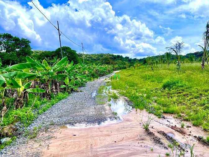 Hình ảnh Đất sào Gia Canh cần bán nhanh