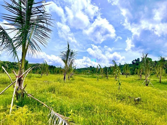 Hình ảnh Đất sào Gia Canh cần bán nhanh