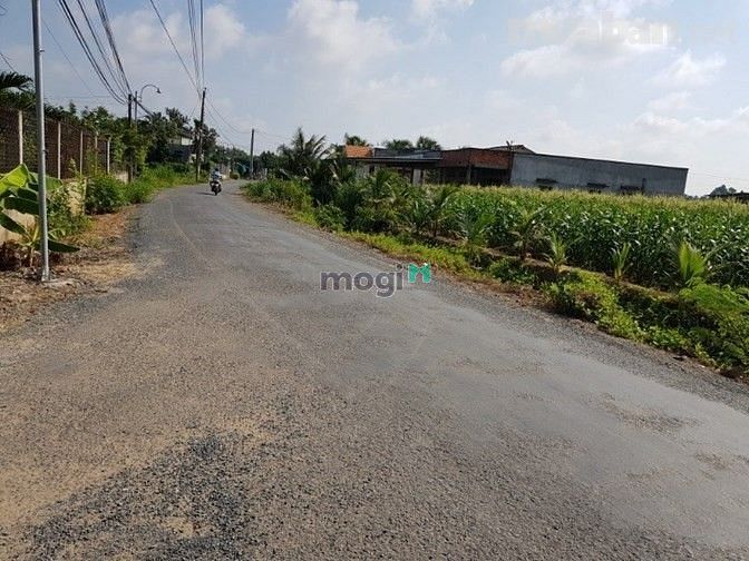 Hình ảnh Bán đất gấp - Gần trường Lộc An, Long Thành - 100m2 - 1.3 tỷ - SHR