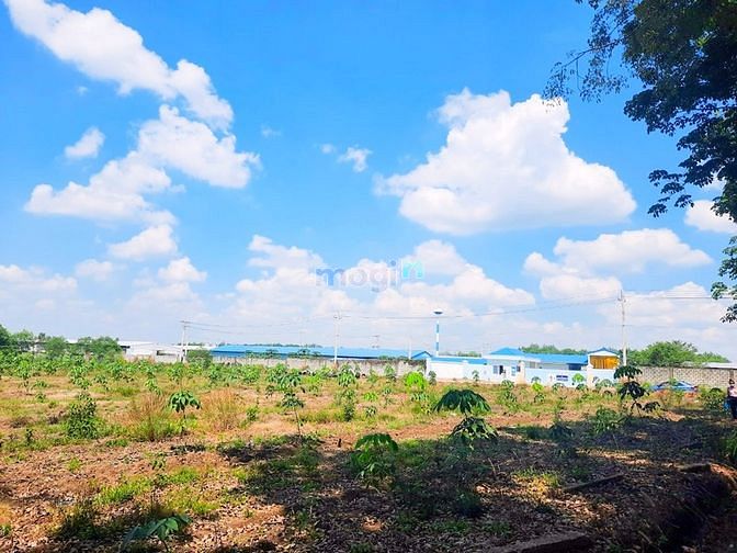 Hình ảnh Ra nhanh sào đất cạnh công ty giá 450 triệu