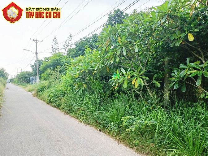 Hình ảnh Bán đất đường 792 - 1093m2 - 19x56 - xã an phú - củ chi