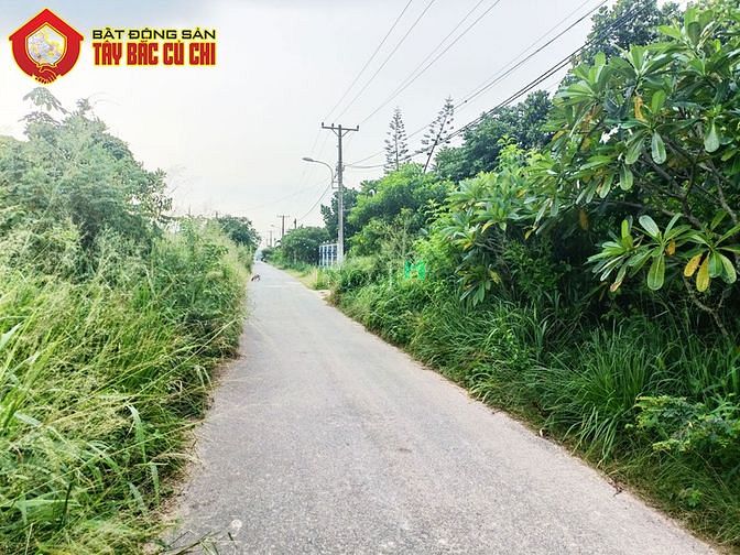 Hình ảnh Bán đất đường 792 - 1093m2 - 19x56 - xã an phú - củ chi
