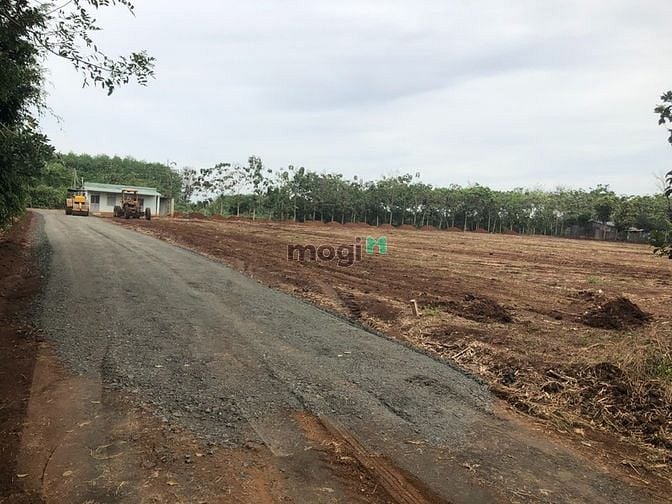Hình ảnh Đăng Ký MB66 Nhận 66K sốc ở Lộc Ninh Bình Phước