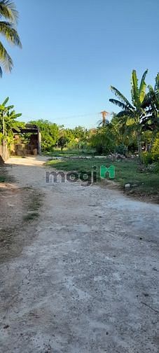 Hình ảnh Cần bán 2 lô đất 864m2 thuộc xóm dừa KP7 ĐÔ VINH.